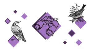 Illustration du projet