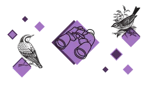 Illustration du projet
