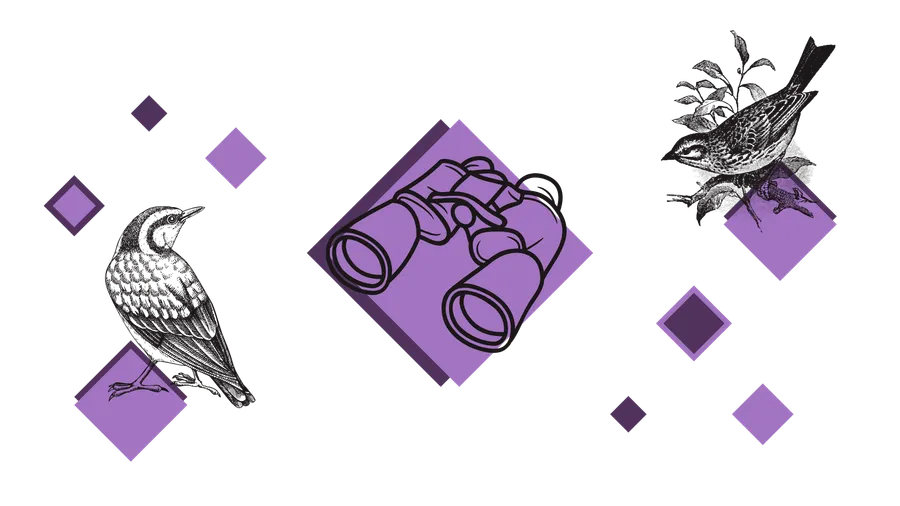 Illustration du projet