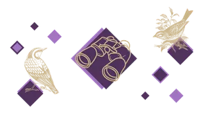 Illustration du projet