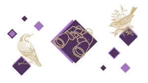 Illustration du projet