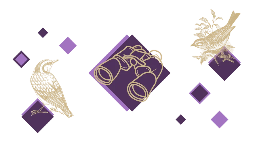 Illustration du projet